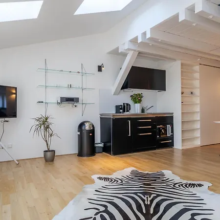 Altstadtliebesnest Apartment Konstanz